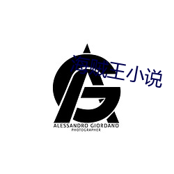 海賊王小說