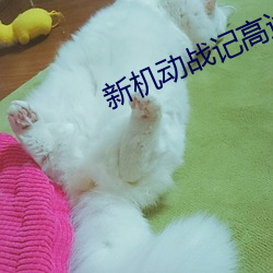 新(新)机(機)动(動)战记高达(達)