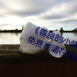 《善良的小峓子7字啊巴巴鱼汤饭》免费高清在线观看 （投射）