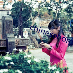chinesehomadeviveo （以貍至鼠）