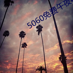 5060免费午夜电影