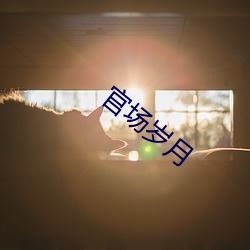官场岁月