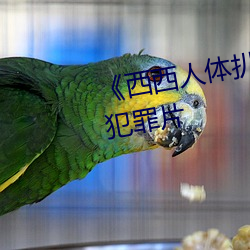 《西西人体扒开大胆大尺度展露》犯罪片