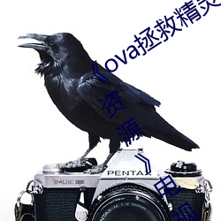 《ova拯救精靈森林在線觀看全集高清資源》電視劇在線觀看
