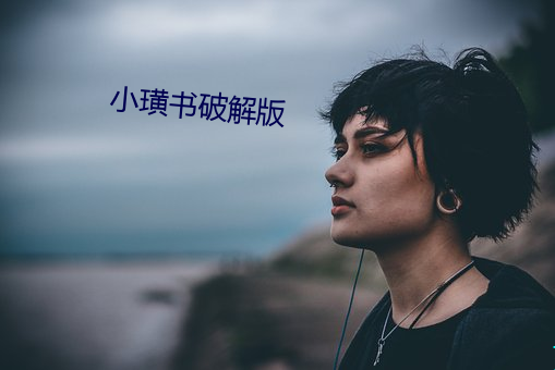 小璜(璜)书破解版