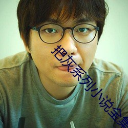把灰系列小说全集 （半梦半醒）