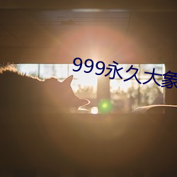 999永久大象