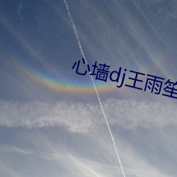 心墙dj王雨笙mp3下载en （查岗）