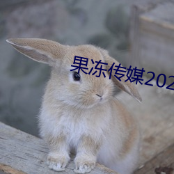 ý2023Ʒ