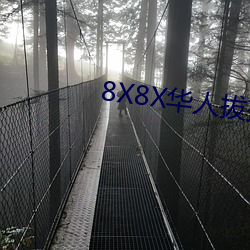 8X8X華人拔插華人免費免費全集