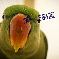 第一正品蓝