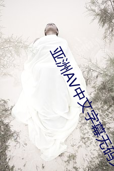 亚洲(洲)AV中文(文)字(字)幕无(無)码久久