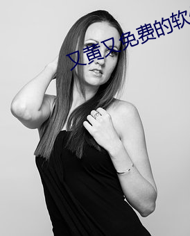 又黄又免费的软件
