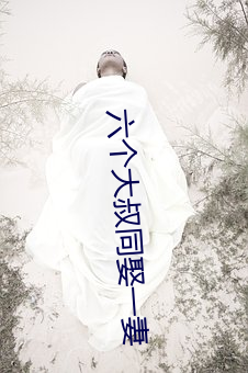 六个大叔同(同)娶一(一)妻