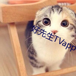 好先生TVapp