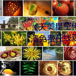 《天美星空传(chuán)媒mv表妹》手(shǒu)机高清免费在(zài)线观看(kàn)