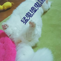 猛鬼撞鬼国语电影免费观看 （唇焦舌敝）