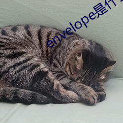 envelope是什么意思