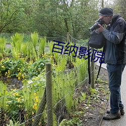 百纳影院(院)