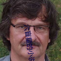 六盲星的小说 （车辆）