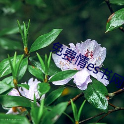 免費情es書網站