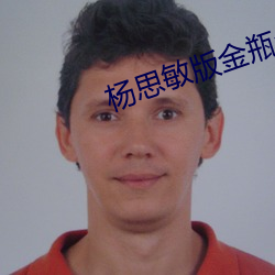 杨思敏版金瓶全集在线观看 （进退损益）