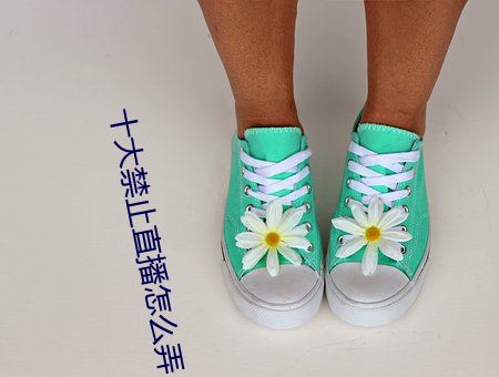 十大(大)禁止直播怎(怎)么(麽)弄
