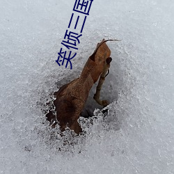 笑傾三國