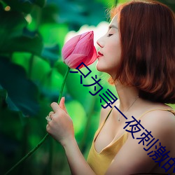 只为寻一夜刺激的交友软件
