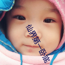 仙界第一臥底