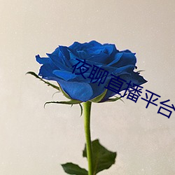 夜聊直播平台