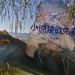 小说(說)禁(禁)欲免费(費)阅读