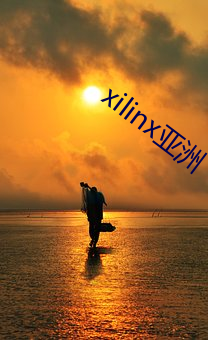 xilinx亚(亞)洲