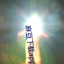 麻豆(豆)下载app免费(費)