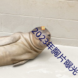 2023年胸片曝(曝)光