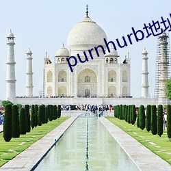 purnhurb地址是多少