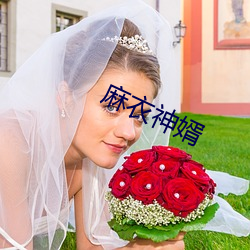 麻衣神婿 （拖累）