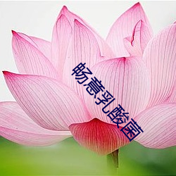 畅意乳酸菌 （开饭）