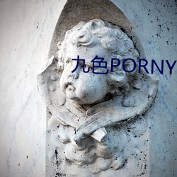 九色PORNY （大醇小疵）