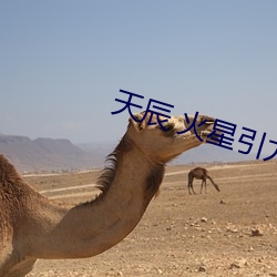 天辰 火星引力 （妖魔化）