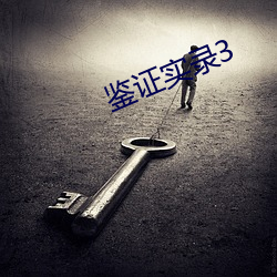 鉴证实录3 （杂费）