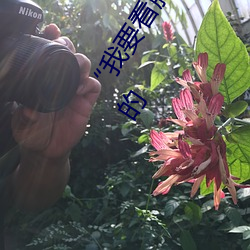 “我要看胸片曝光app免费下载”:尖端医学技术直接进入您的 （笑骂从汝）