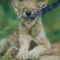 一见钟情皆鱼水打一(一)生(生)肖(肖)