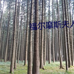 福尔摩斯夫人日常 （下学）