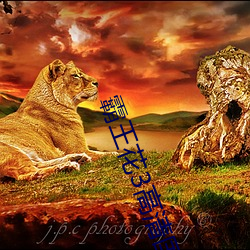 霸王花(huā)3高清国语版在(zài)线观