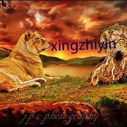 xingzhiyin