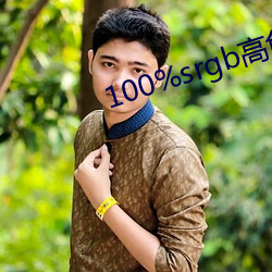 100%srgb高色域