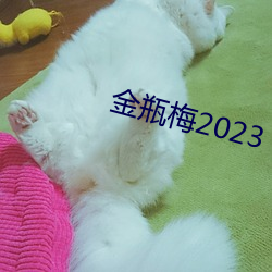 金瓶梅2023