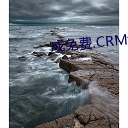 成(成)免(免)费.CRM大全