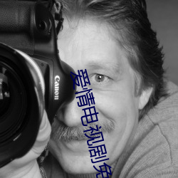 爱情电视剧免费完整版在线